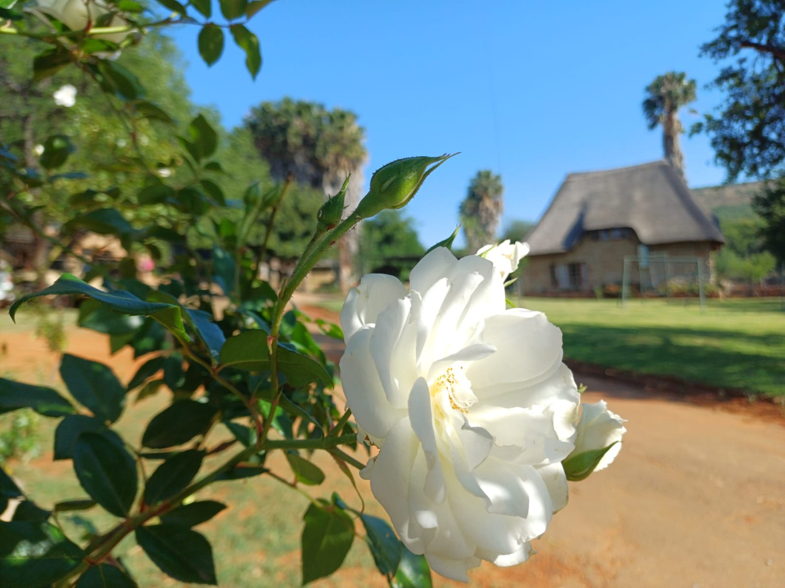 Tourism:  A Welcome Break away from City hype - Losberg Lodge